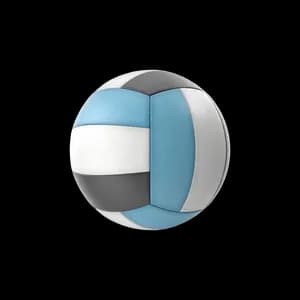 Volleyball — Daytrip Sports Gear