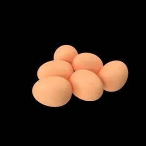 Farm Fresh Eggs (12 pack)