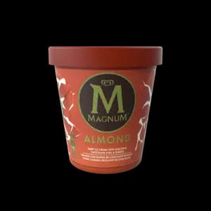 Classic Vanilla Ice Cream Tub